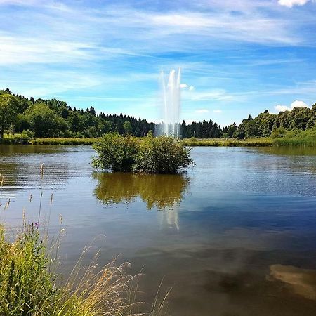 Ferienappartement Balbiani Hahnenklee-Harz Goslar Eksteriør billede